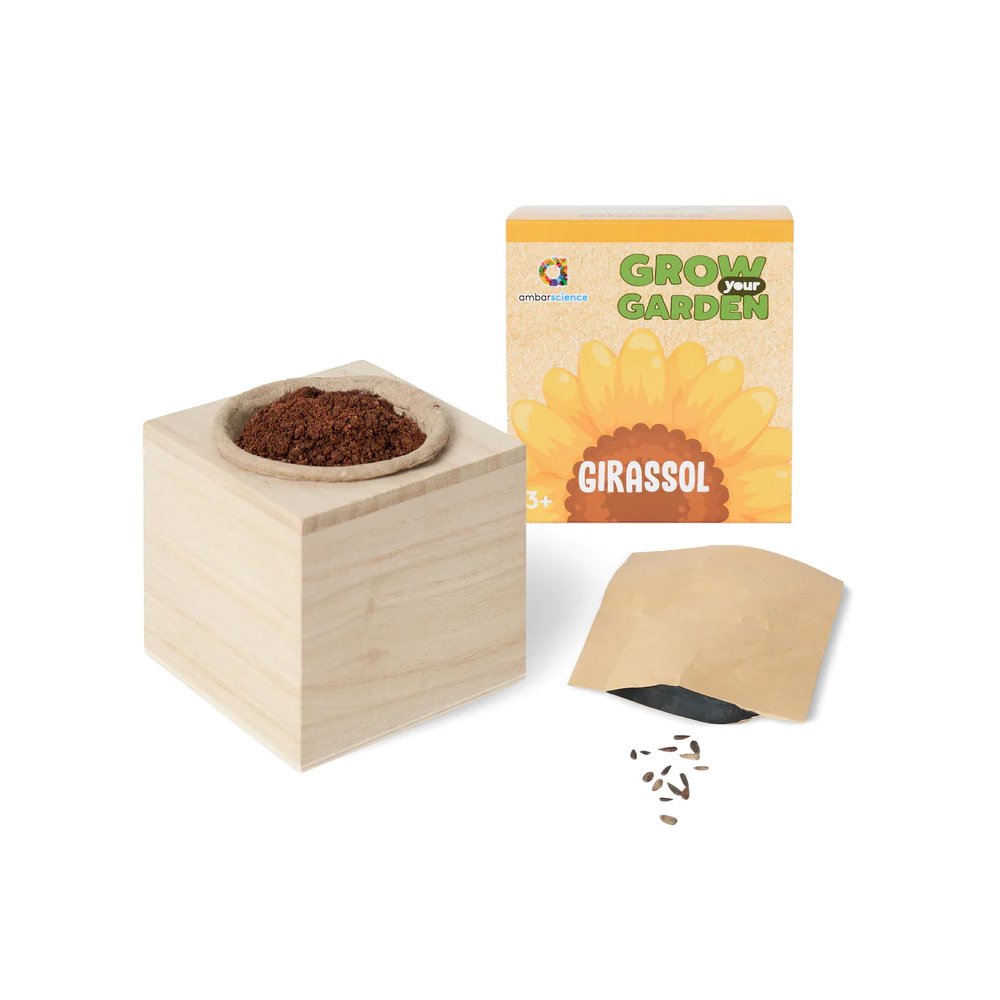 Grow your Garden Girassóis Ambarscience