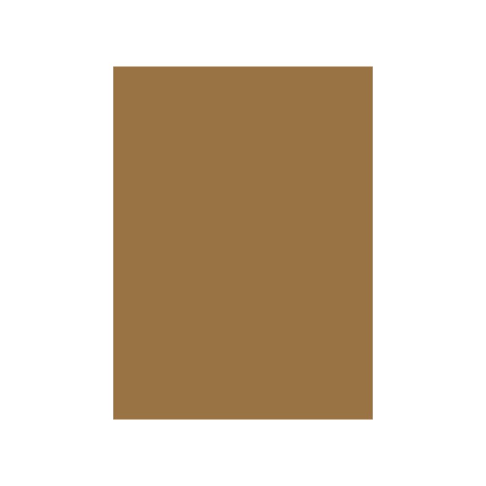 Cartolina 50x65cm Castanho Terra 10T 180g 1 Folha