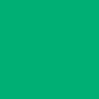 Cartolina A4 Verde Hortelã Menta 185g Canson 50 Folhas