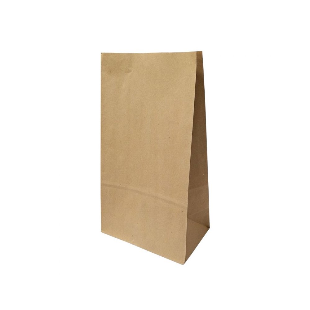 Saco sem Asas 20x12x37,5cm Papel Kraft 070g 1un